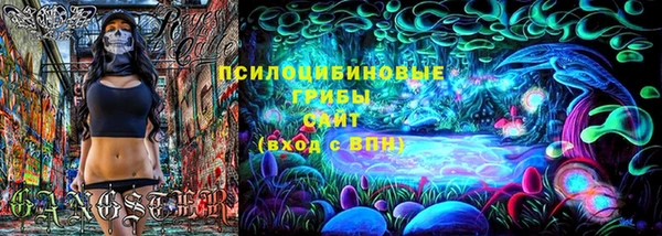 гашик Абинск